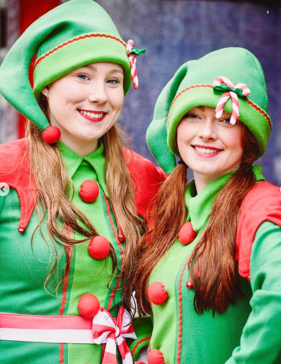 Elves Christmas Party